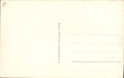 VINTAGE POSTCARD Lappepiker Huskies