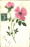CPA Fleurs (dessin a la main) 
