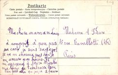 VINTAGE POSTCARD Cock Hen Chicks