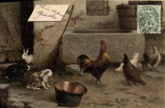 CPA Coq Poules Lapin 
