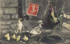 CPA Coq Poule Paques 