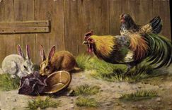 CPA Coq Poule Lapins 