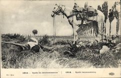 CPA Militaria Spahi en reconnaissance