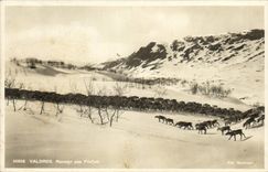 CPA Polaire Valdres Rensyr paa Filefjell Rennes