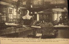 CPA Polaire Musee oceanographique de Monaco Kajak groenlandais Les pingouins du Pole Sud