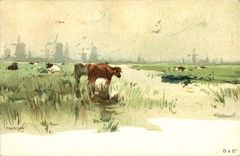 CPA Fantaisie Illustrateur Zaandam Vaches