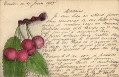 CPA (dessin la main) Cerises