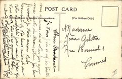 rboles de la POSTAL de la VENDIMIA (que dibuja la mano)