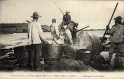 CPA Peche Campagne scientifique de la Princesse Alice Depecage d'un cachelot Polaire TOP