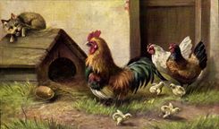 CPA Coq Poule Chien Poussins