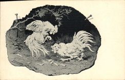 CPA Coq Poule Combat de coqs