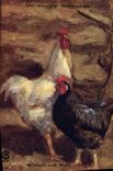 CPA Coq Poule Un couple imposant