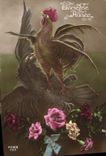 CPA Coq Poule Glorieuse annee Aigle