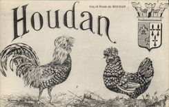 CPA Coq Poule Houdan Coq et poule de Houdan