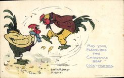 CPA Coq Poule Saturday Night 