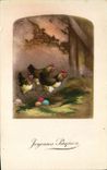CPA Coq Poule 