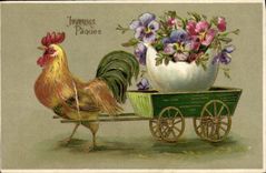 CPA Coq Poule 