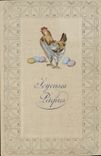 CPA Coq Poule 