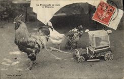 CPA Coq Poule La promenade en auto et l'escorte
