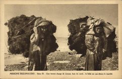 VINTAGE POSTCARD Polar Eskimo Missions a good foam wood load of North