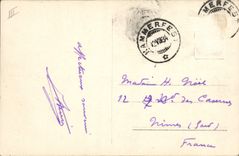 Osos polares polares de Hamerfes de la POSTAL de la VENDIMIA