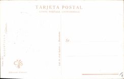 VINTAGE POSTCARD Fantasy Illustrator Chantecler Woman Butterfly