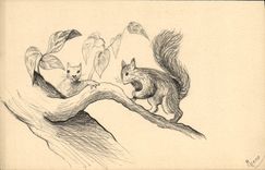 VINTAGE POSTCARD (drawing the hand) Squirrels Squirrel