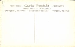 Duquesa de la POSTAL de la VENDIMIA de la baya Marie Caroline de Bourbon