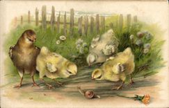 CPA Escargot Poussins