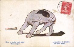 VINTAGE POSTCARD Dog