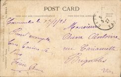 VINTAGE POSTCARD Dog