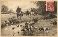 CPA Chasse a courre Chiens Chien