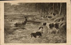 CPA Chiens Chien Chasse a courre Cerf Hallali
