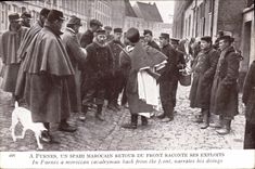 La POSTAL Militaria de la VENDIMIA tiene vuelta de Furnes Spahi Marocain de la cara dice sus hazañas