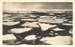 CPA Polaire Svalbard Polarisen 