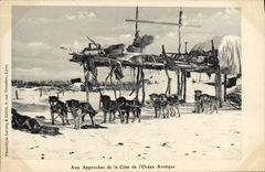 CPA Polaire Aux approches de la Cote de l'Ocean Arctique Chiens