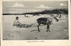 VINTAGE POSTCARD Polar North pole Coach of Alaska Reindeer