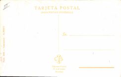 CPA Fantaisie Illustrateur Femme