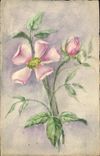 CPA Fantaisie (dessin a la main) Fleurs