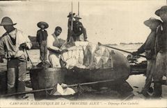 CPA Peche Campagne scientifique de la Princesse Alice Depecage du cachalot TOP