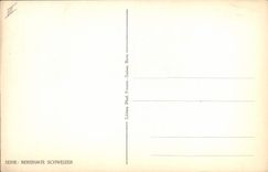 POSTAL Albert Bitzius de la VENDIMIA