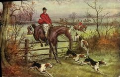 CPA Chiens Chien Chasse a courre Cavalier