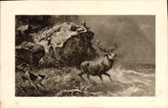 CPA Chiens Chien Chasse a courre Cerf