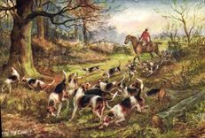 CPA Chiens Chien Chasse a courre Drawing the Covert Cavalier