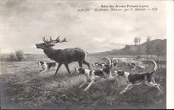 CPA Chiens Chien Chasse a courre Le dernier debucher Maisson Cerf