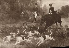 CPA Chiens Chien Chasse a courre Salon de Paris 1913 De Liniers La traversee de la clairiere