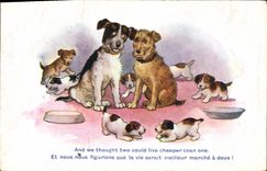 VINTAGE POSTCARD Dogs Dog Pups