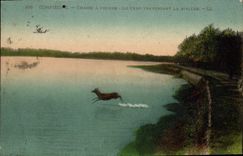 Caza de Compiegne de la POSTAL de la VENDIMIA el macho que cruza el río