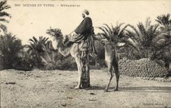 CPA Militaria Meharistes Chameau