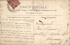 VINTAGE POSTCARD Theater Fantasy Woman Swan